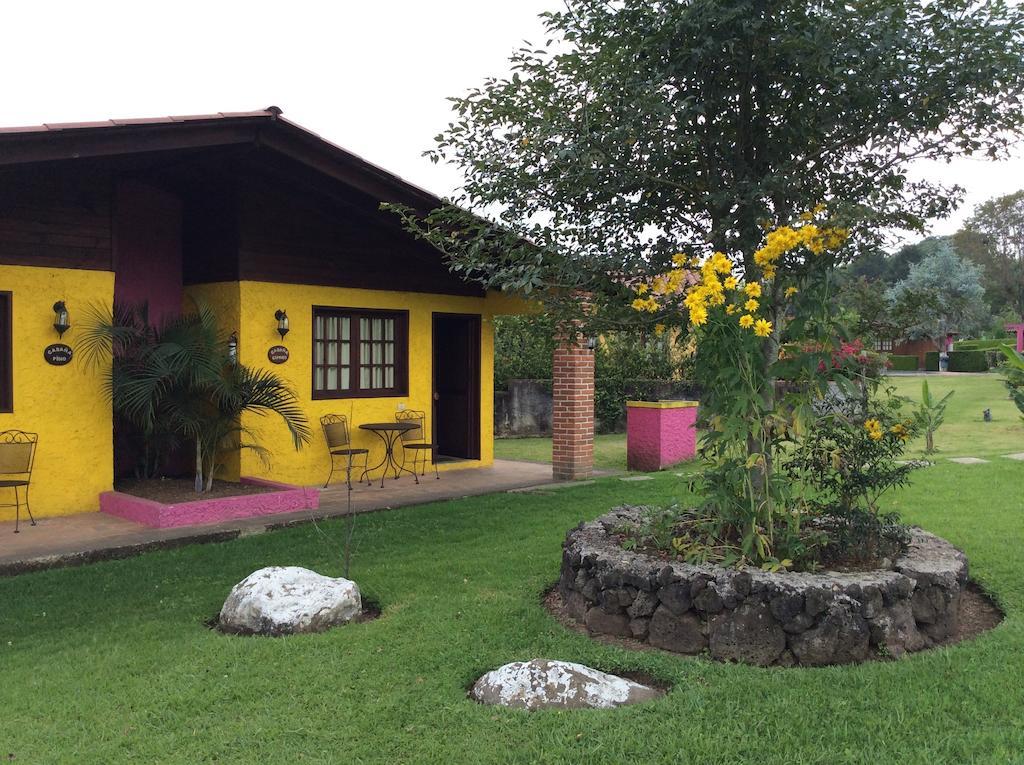 Cabanas La Chicharra Xico Phòng bức ảnh